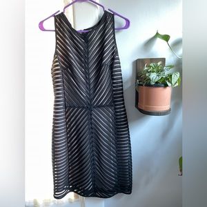 LIKE NEW Mesh black dress